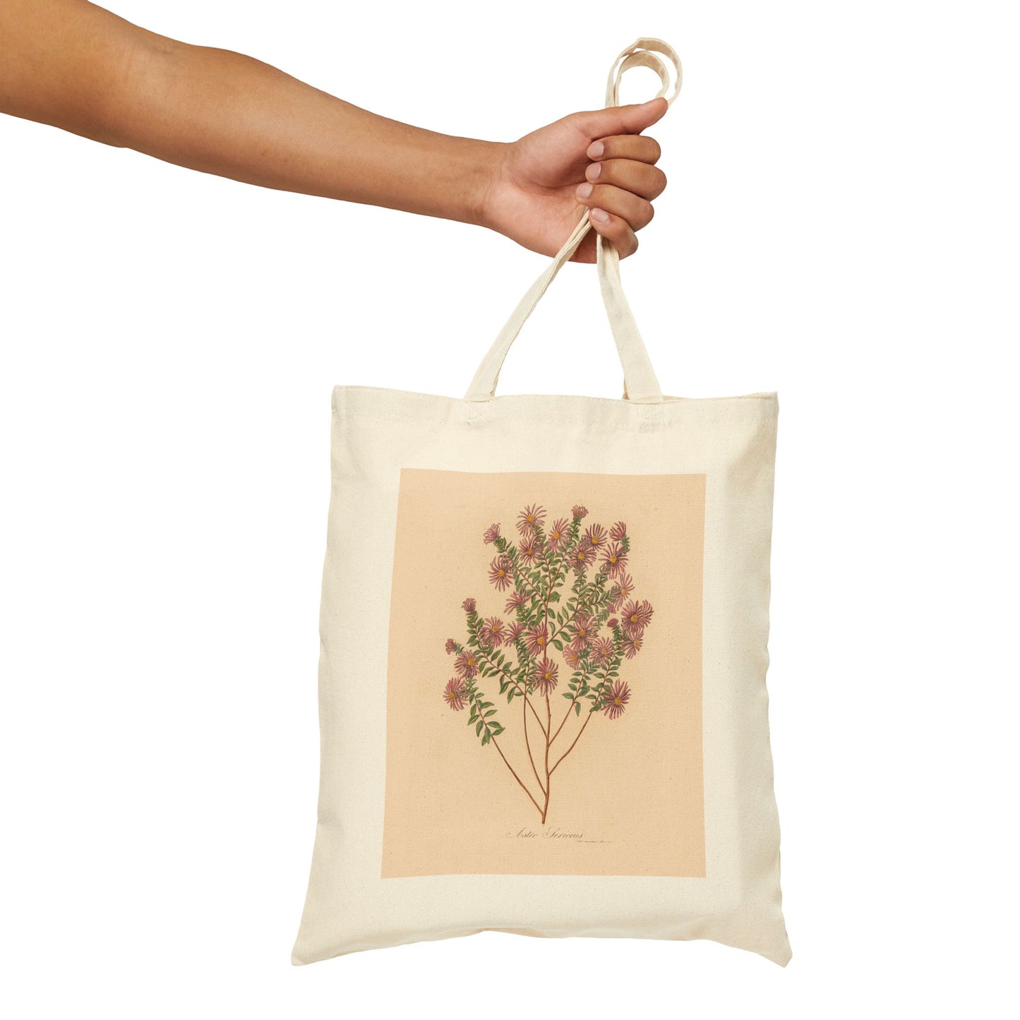 Botanical Tote Bag | Aster Sericeus