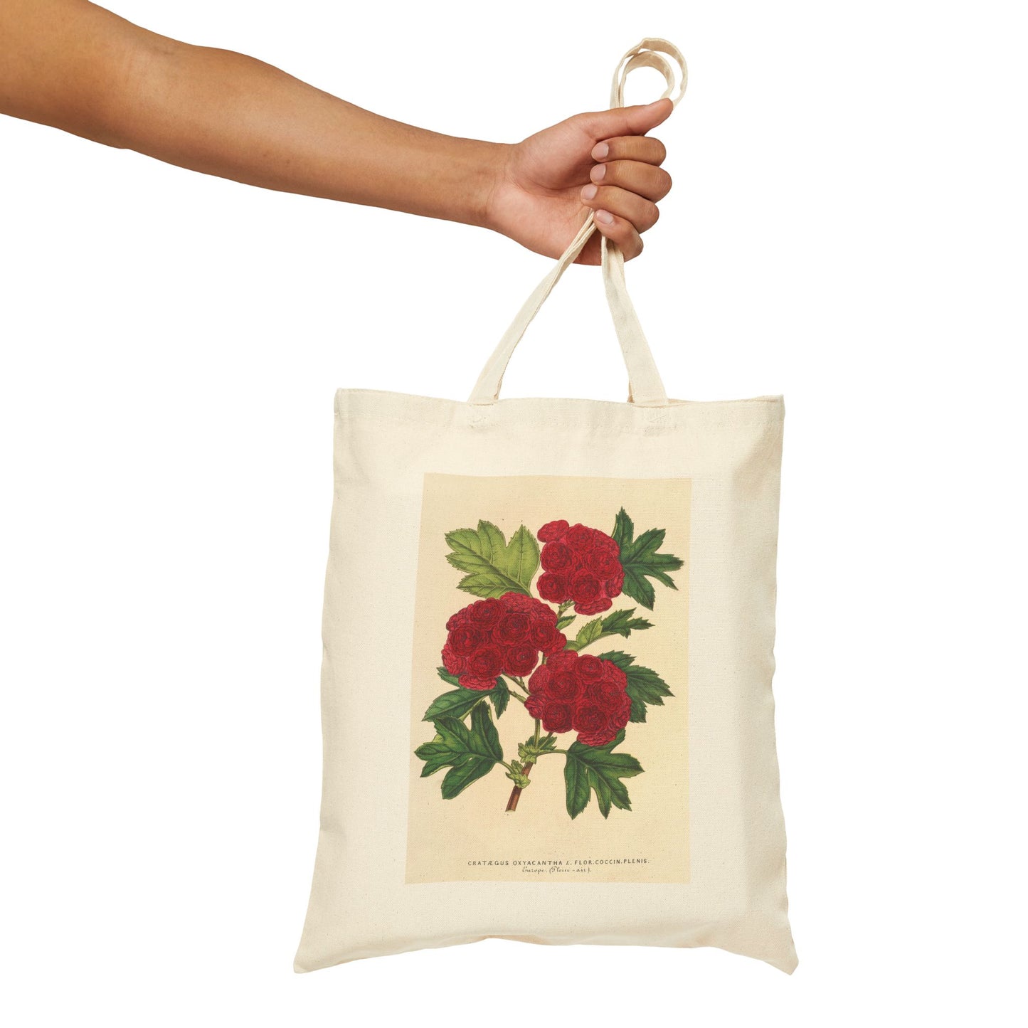 Botanical Tote Bag | Cratægus oxyacantha