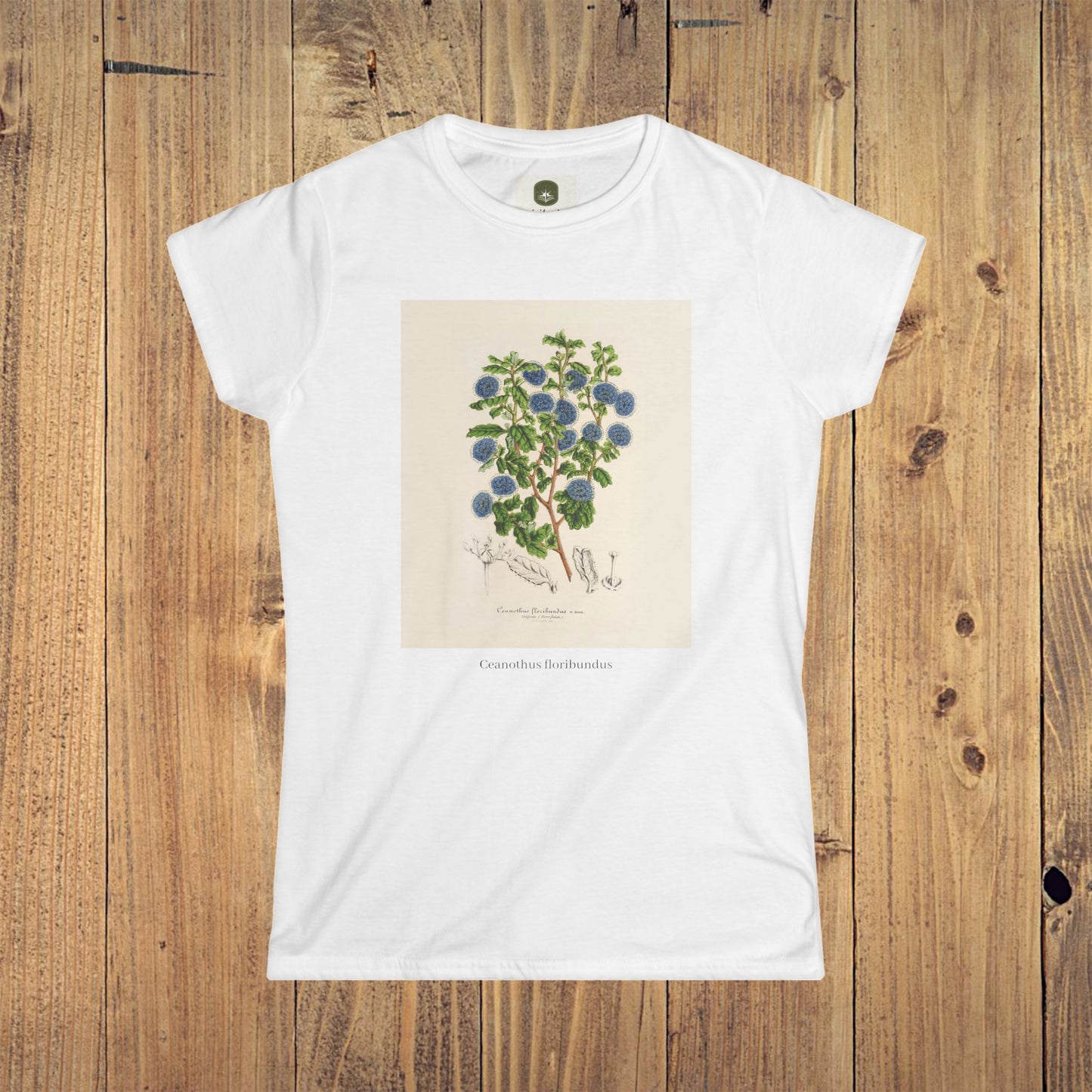 Women's Botanical Softstyle Tee | Ceanothus floribundus