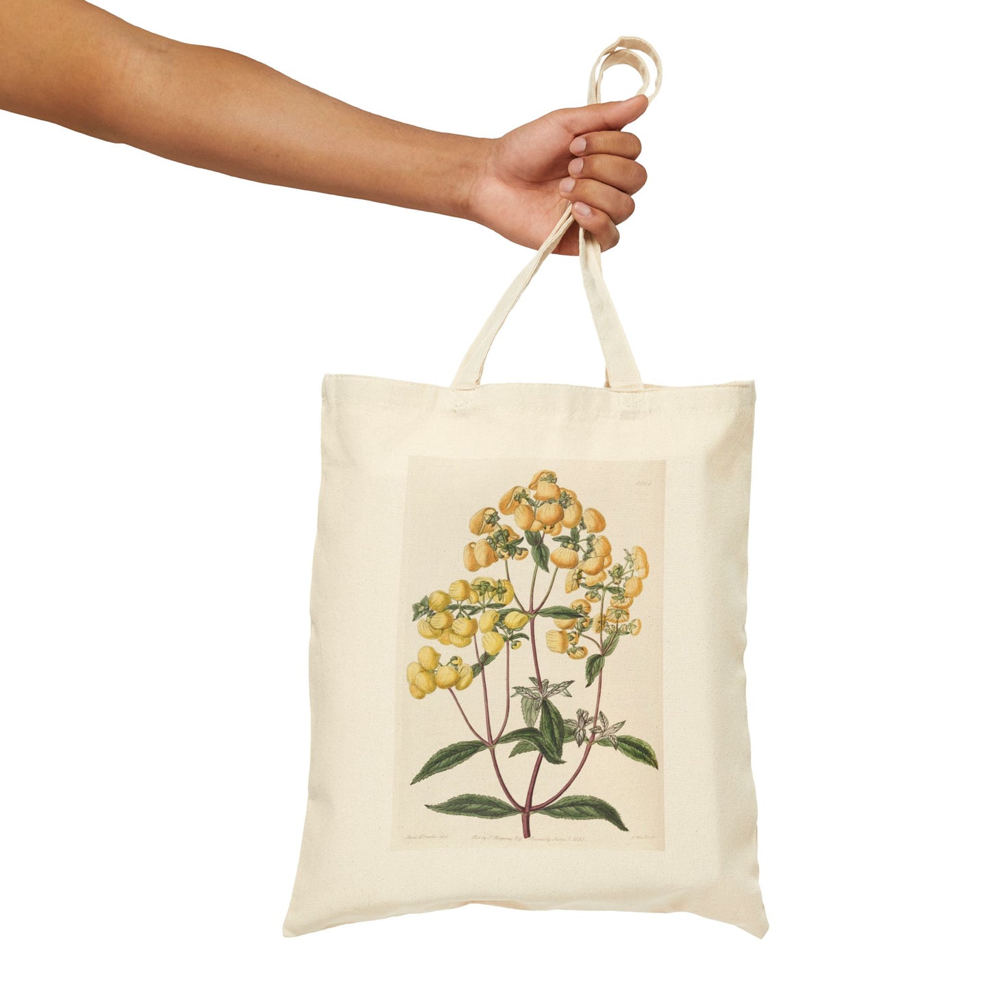 Botanical Tote Bag | Calceolaria integrifolia