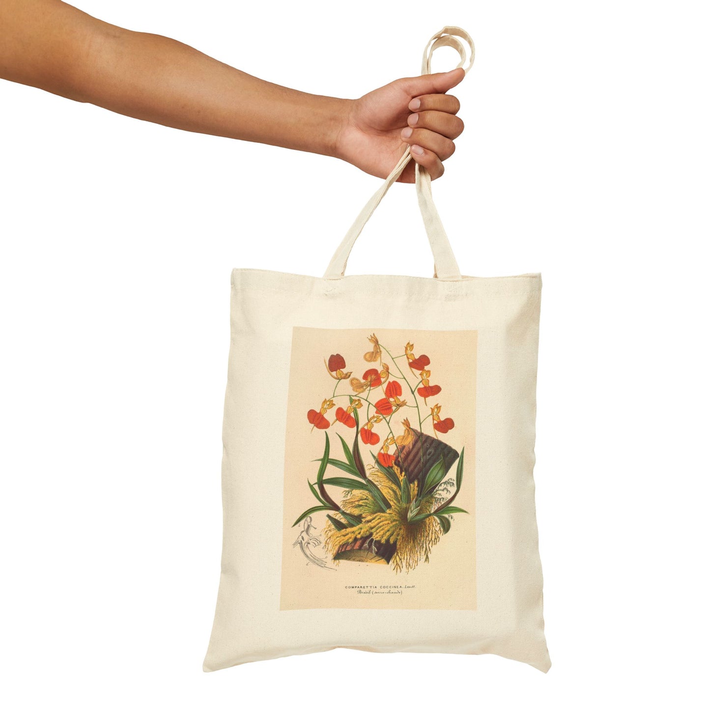 Botanical Tote Bag | Comparettia coccinea