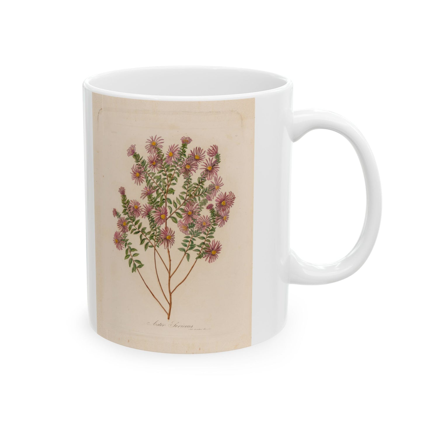 Floral Ceramic Mug | Aster Sericeus