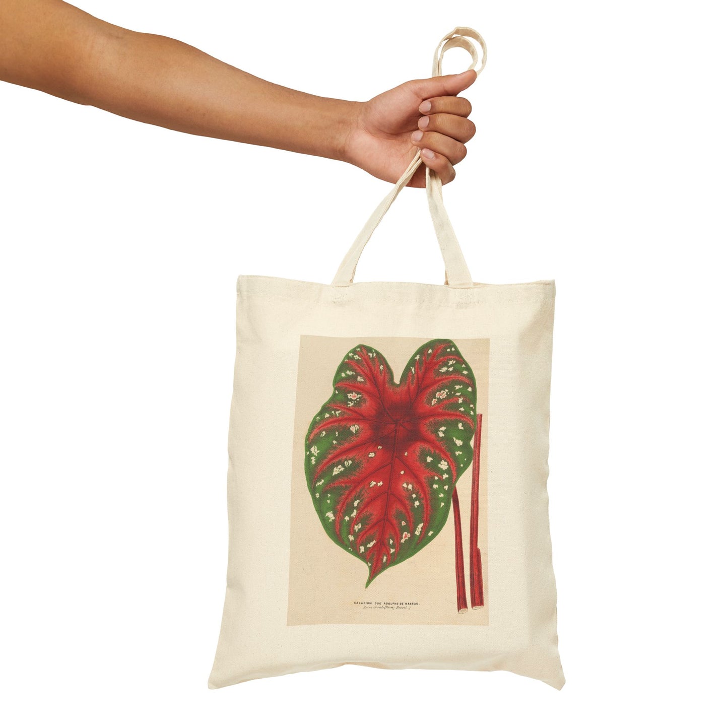 Botanical Tote Bag | Caladium Duc Adolphe de Nassau