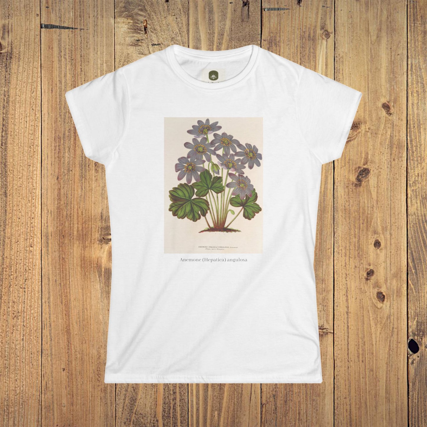 Women's Botanical Softstyle Tee | Anemone (Hepatica) angulosa