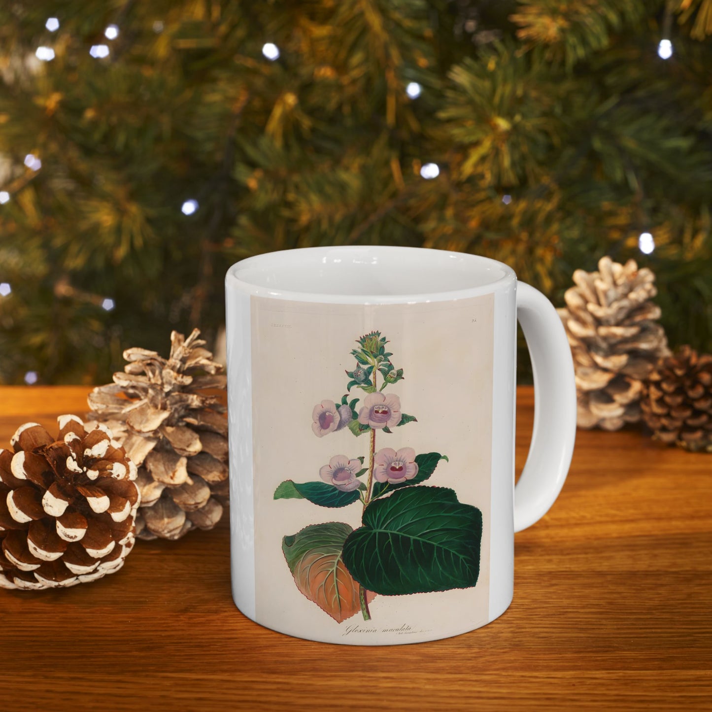 Floral Ceramic Mug | Gloxinia maculata
