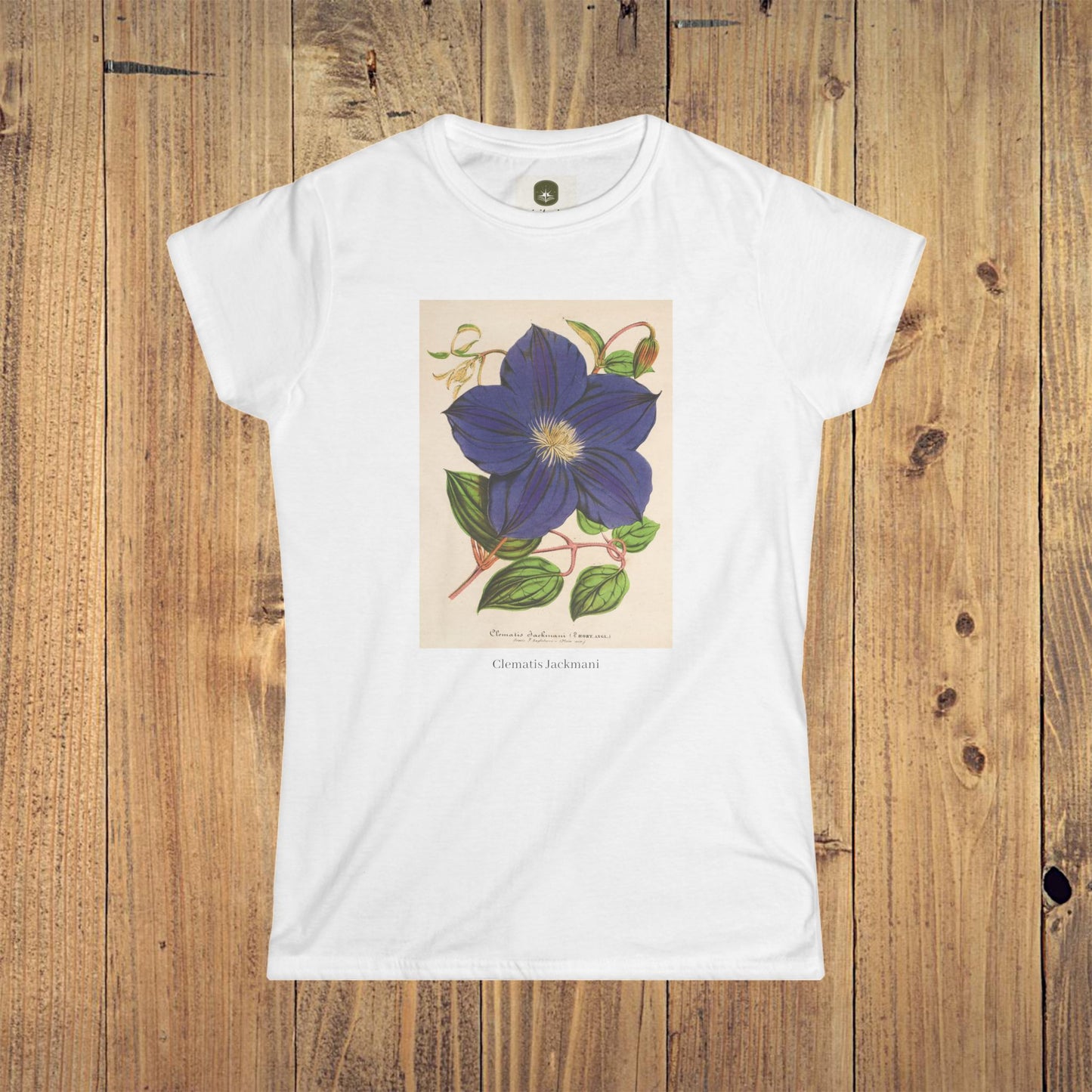 Women's Botanical Softstyle Tee | Clematis Jackmani