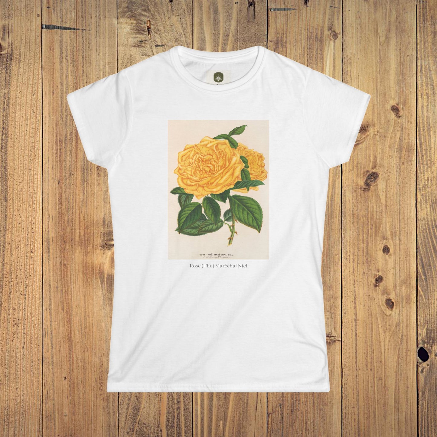 Women's Botanical Softstyle Tee | Rose (Thé) Maréchal Niel