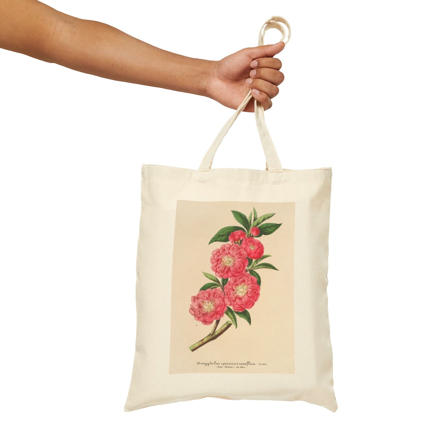 Botanical Tote Bag | Amygdalus (persica) roaeflora