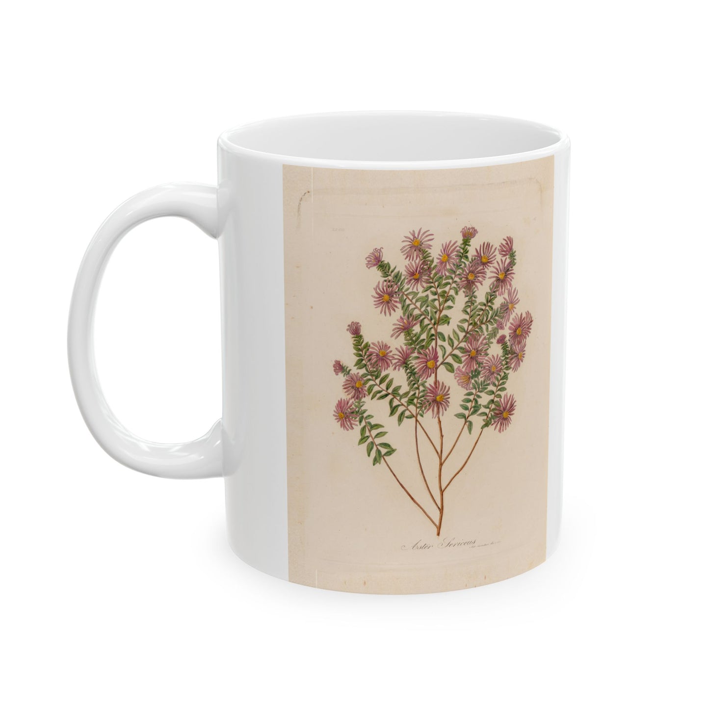 Floral Ceramic Mug | Aster Sericeus