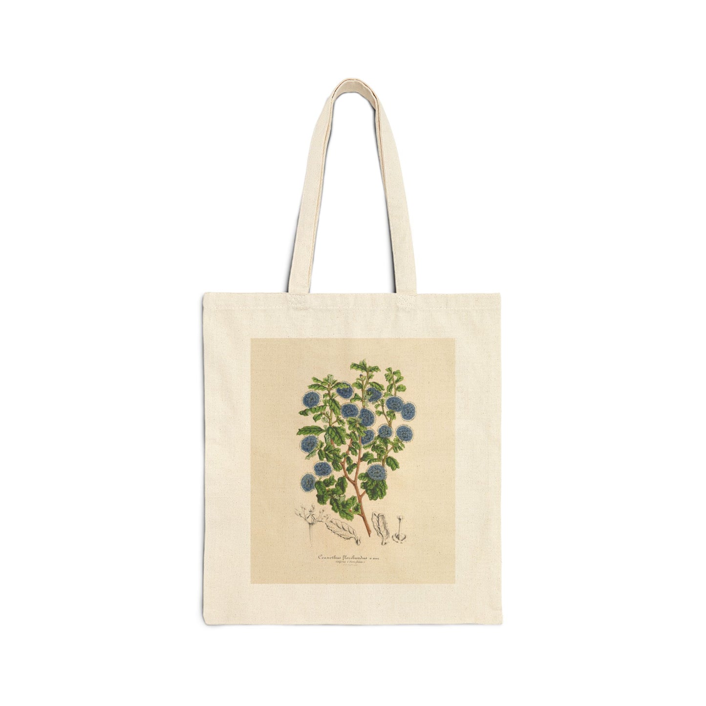 Botanical Tote Bag | Ceanothus floribundus