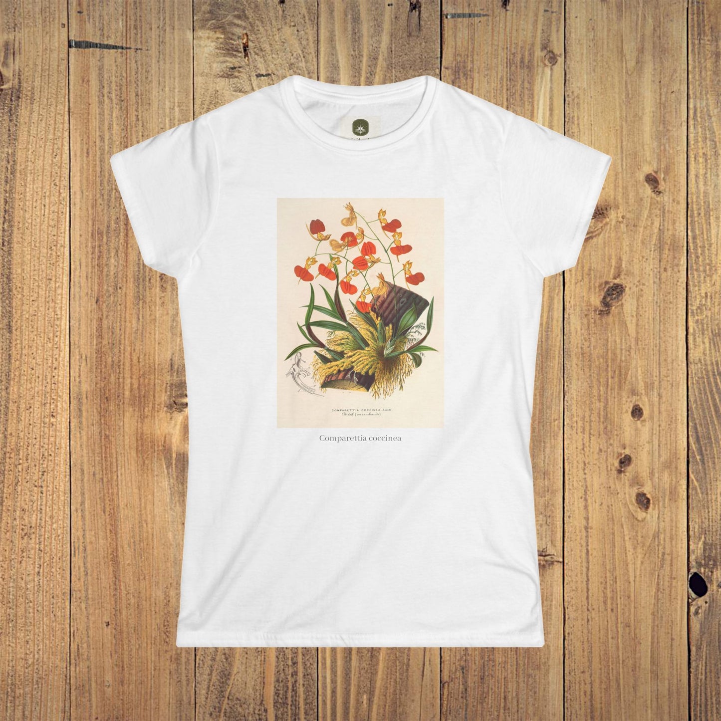 Women's Botanical Softstyle Tee | Comparettia coccinea