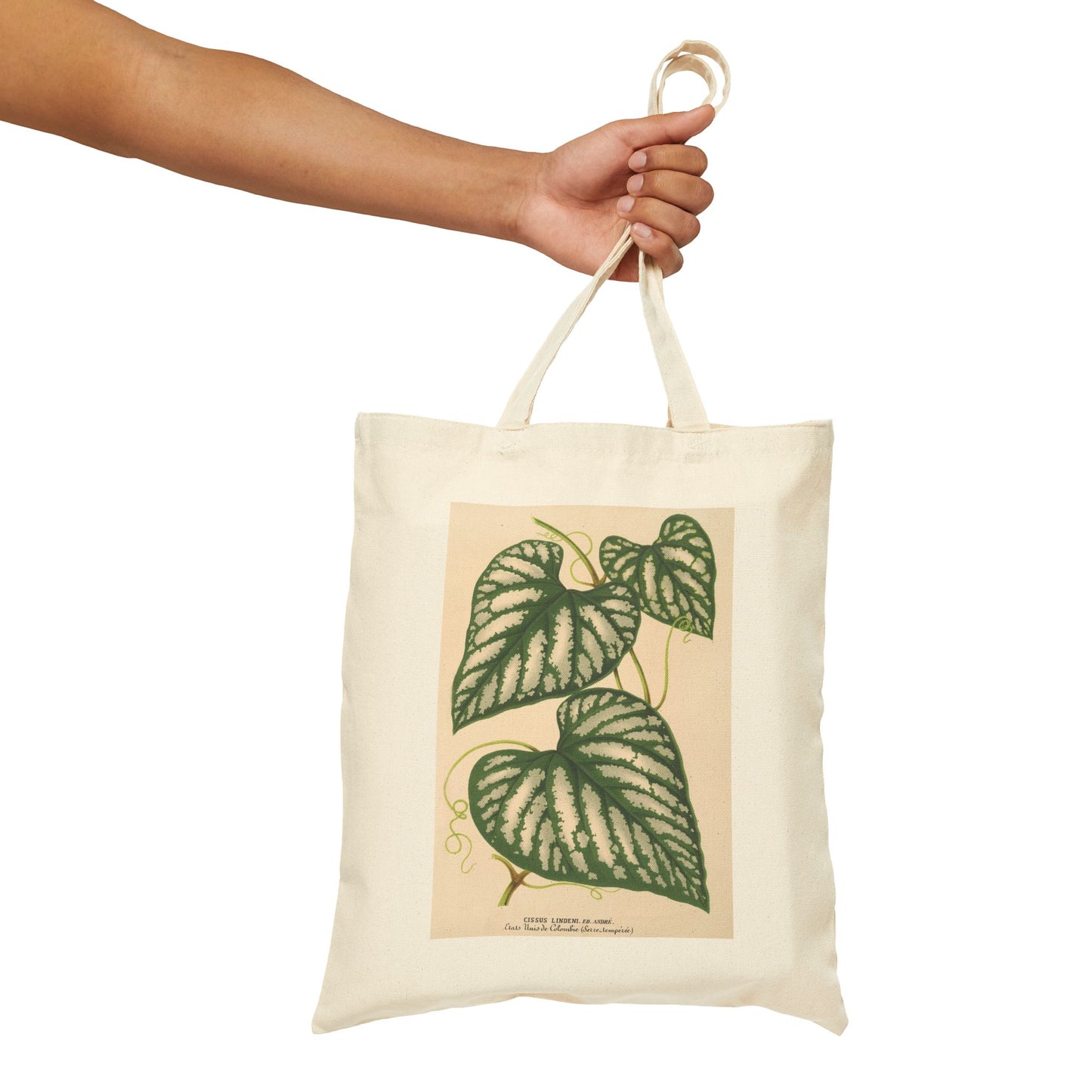 Botanical Tote Bag | Cissus Lindeni
