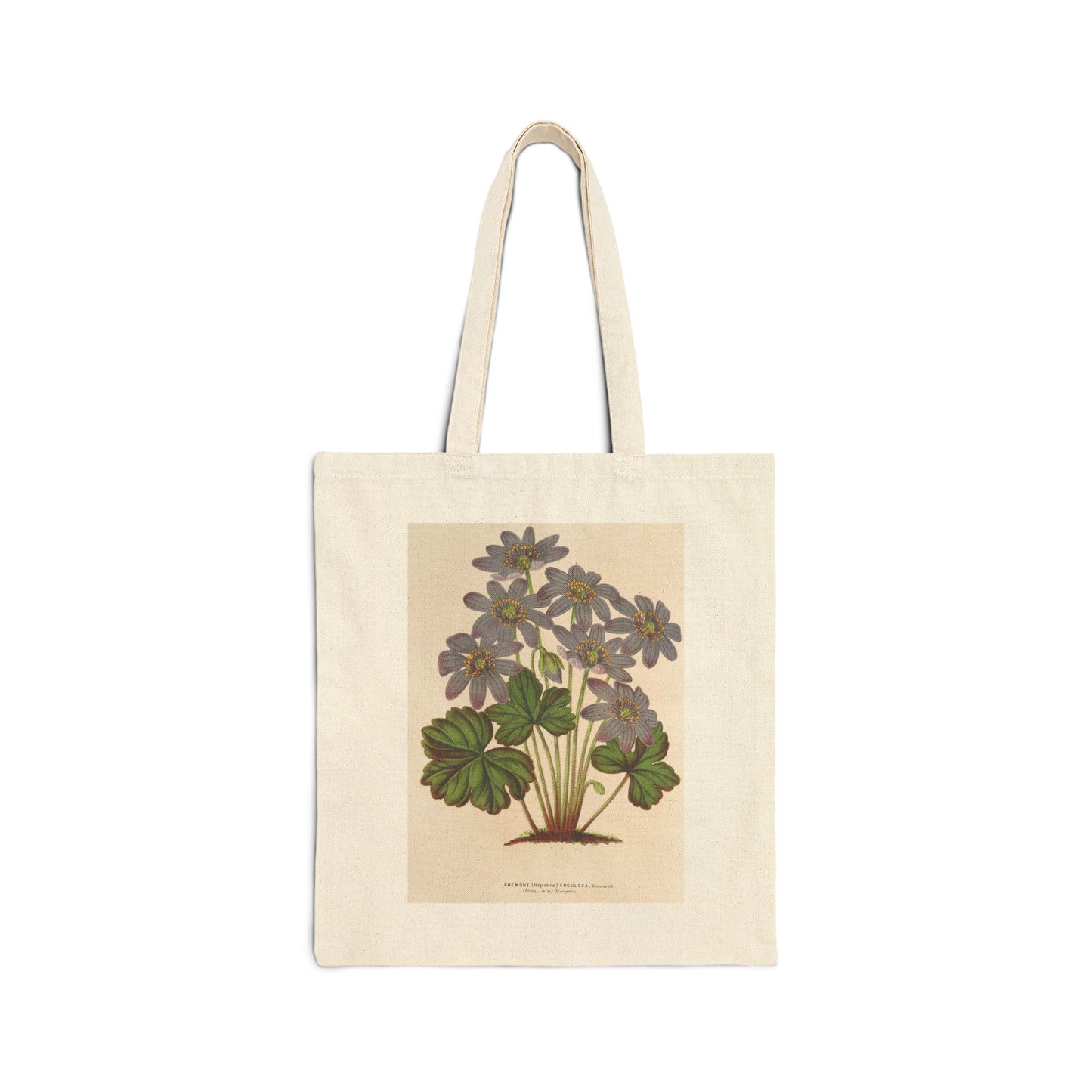 Botanical Tote Bag | Anemone (Hepatica) angulosa