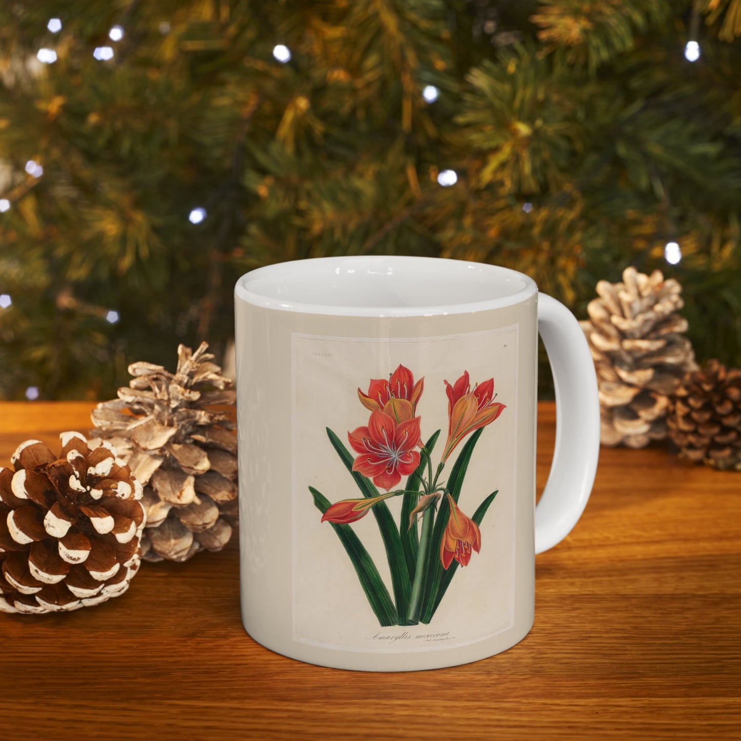 Floral Ceramic Mug | Amaryllis mexicana
