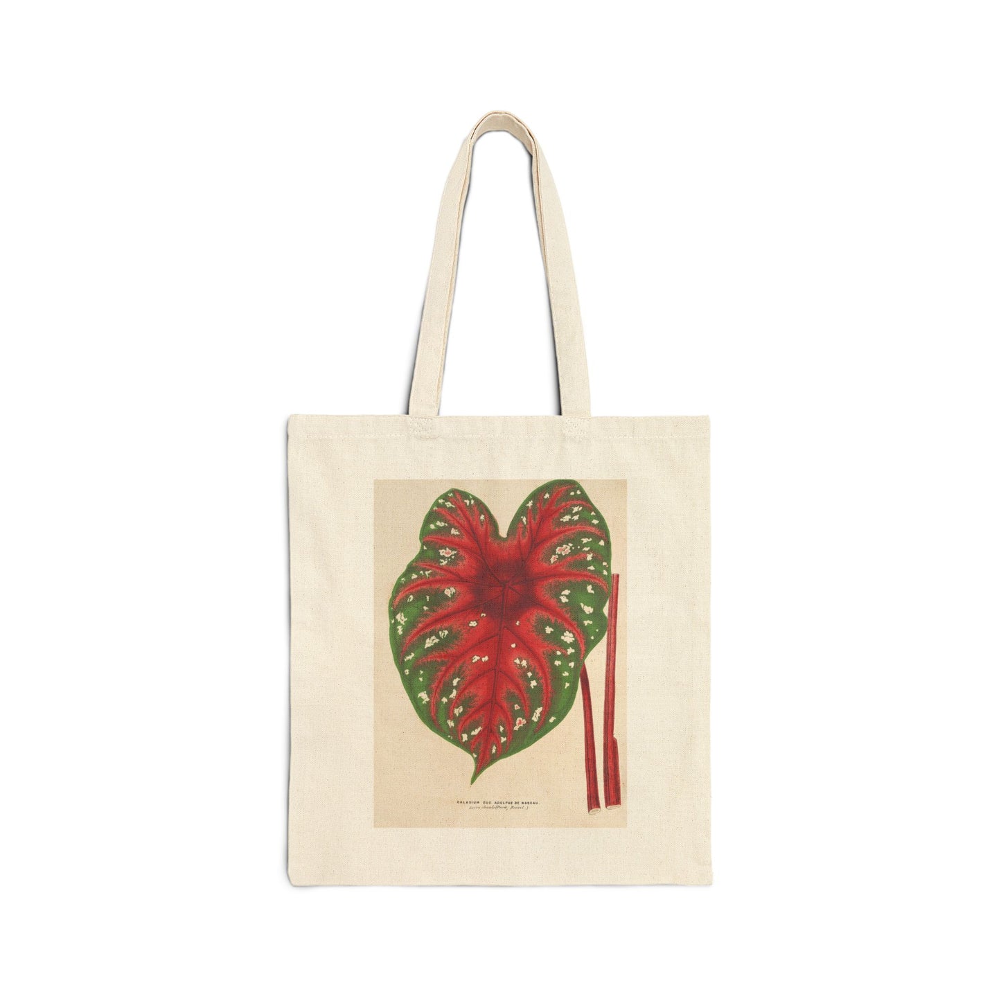 Botanical Tote Bag | Caladium Duc Adolphe de Nassau