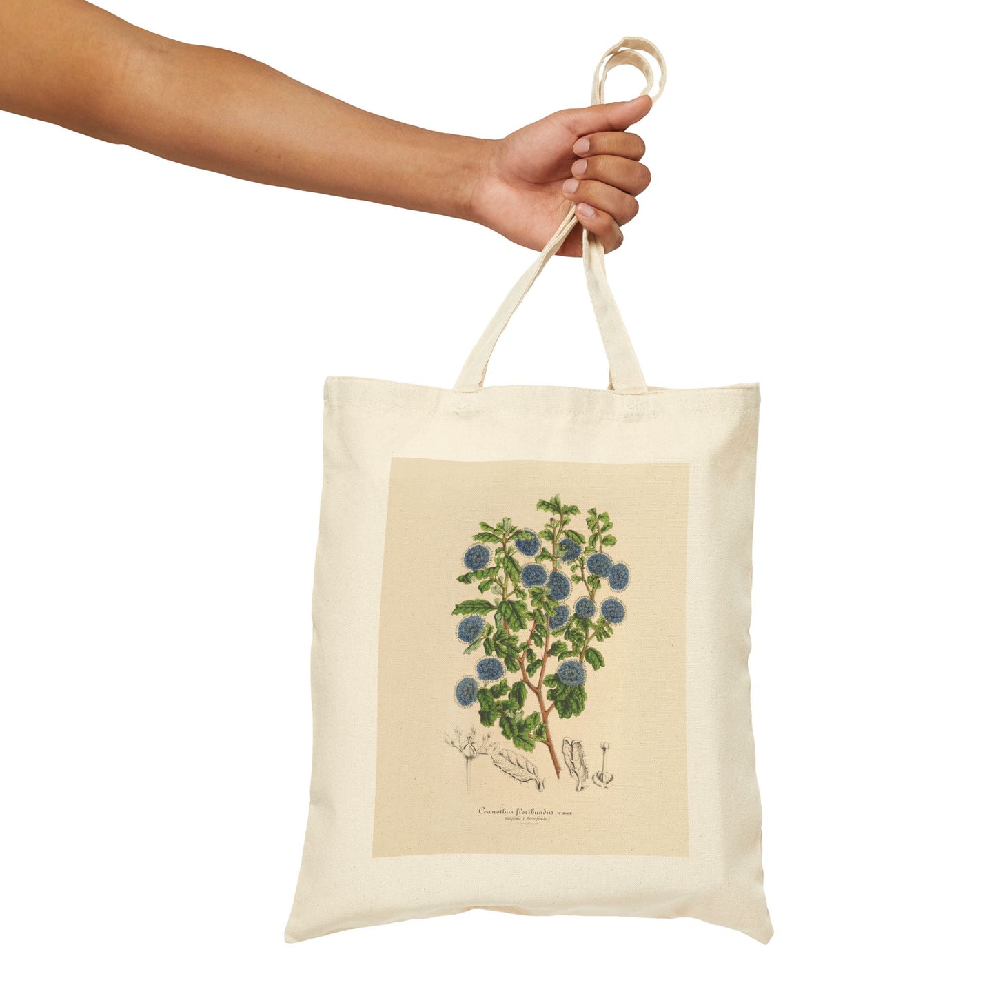 Botanical Tote Bag | Ceanothus floribundus