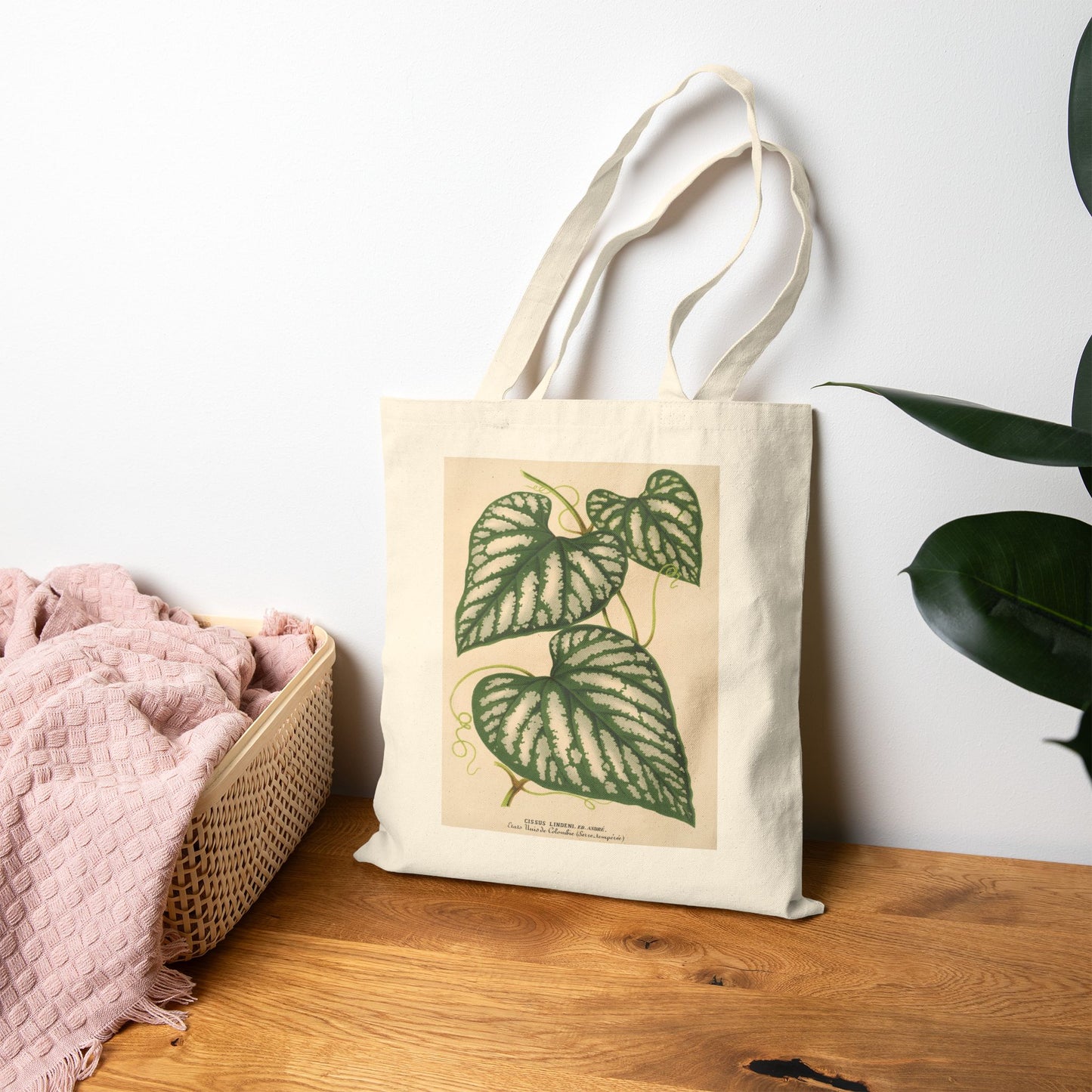 Botanical Tote Bag | Cissus Lindeni