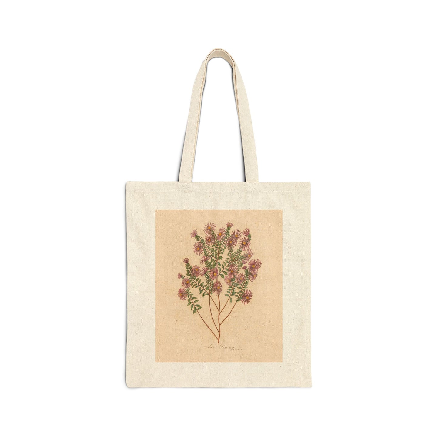 Botanical Tote Bag | Aster Sericeus