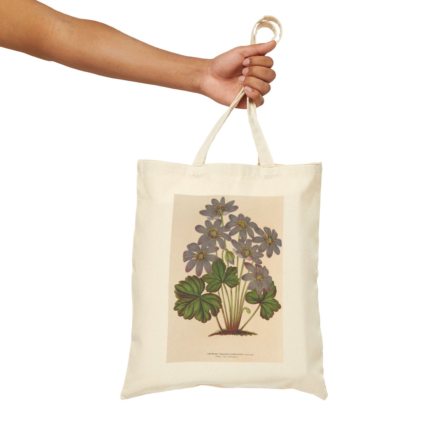 Botanical Tote Bag | Anemone (Hepatica) angulosa