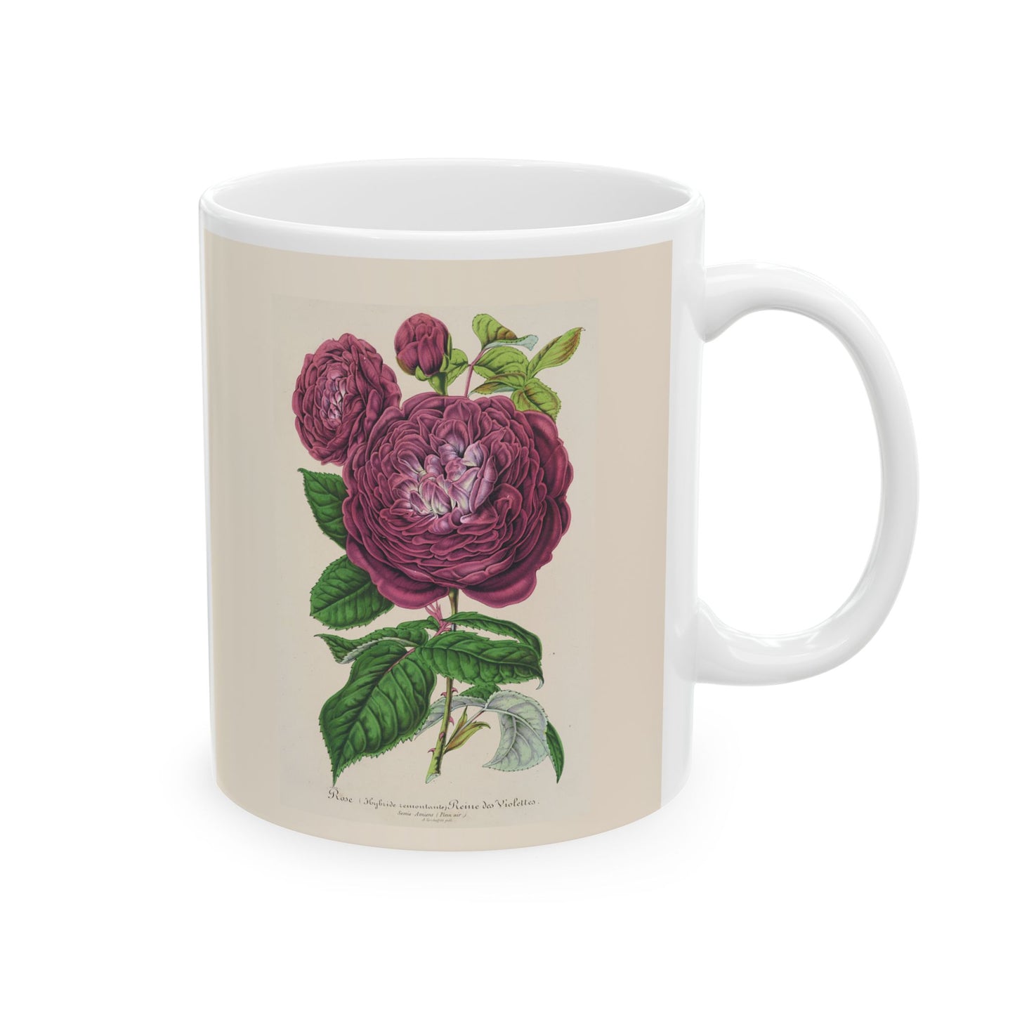 Floral Ceramic Mug | Rose Reine Des Violettes
