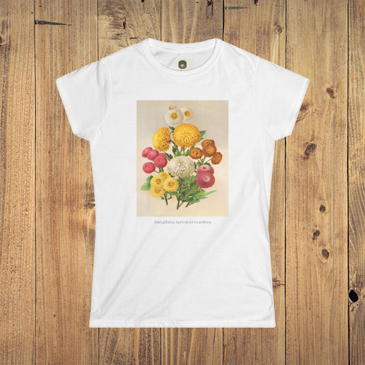 Women's Botanical Softstyle Tee | Chrysanthèmes d’automne