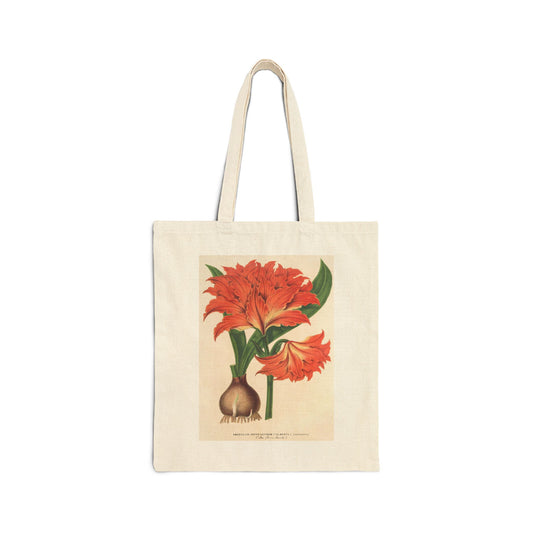 Botanical Tote Bag | Amaryllis (Hippeastrum) Alberti