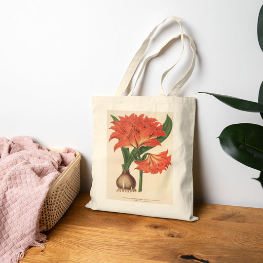Botanical Tote Bag | Amaryllis (Hippeastrum) Alberti