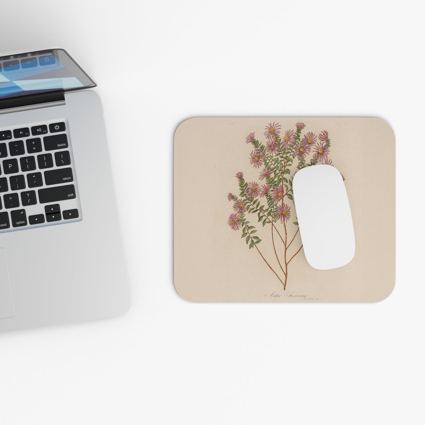 Botanical Print Mouse Pad | Aster Sericeus