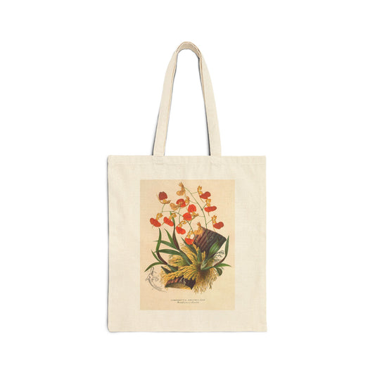 Botanical Tote Bag | Comparettia coccinea