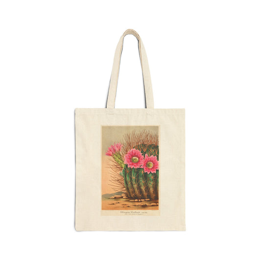 Botanical Tote Bag | Echinopsis Pentlandi
