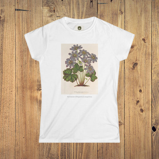 Women's Botanical Softstyle Tee | Anemone (Hepatica) angulosa