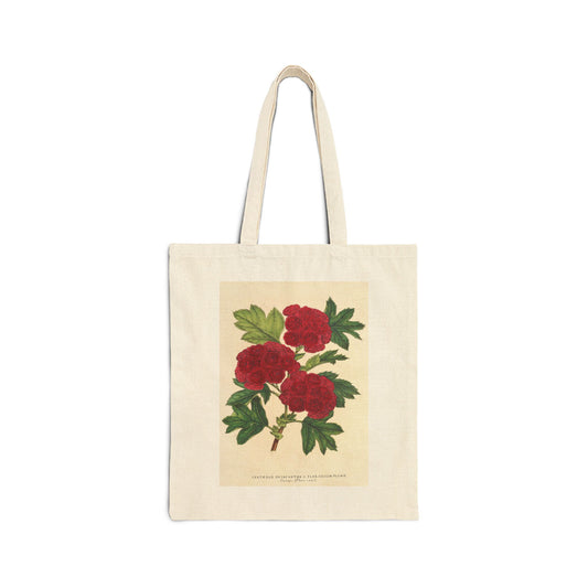 Botanical Tote Bag | Cratægus oxyacantha