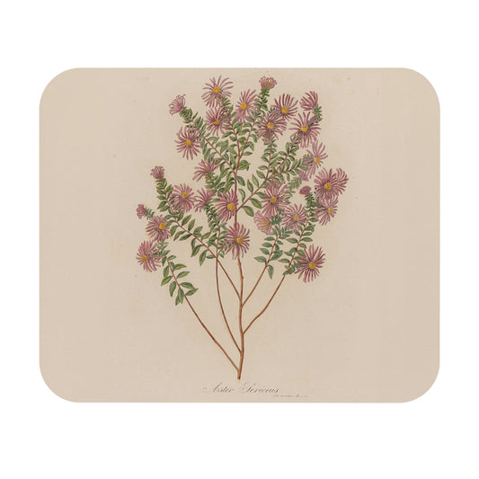 Botanical Print Mouse Pad | Aster Sericeus