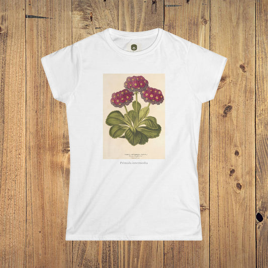 Women's Botanical Softstyle Tee | Primula intermedia