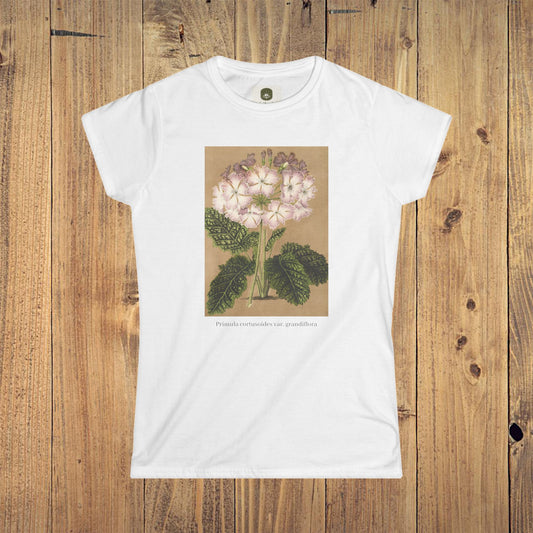 Women's Botanical Softstyle Tee | Primula cortusoides var. grandiflora