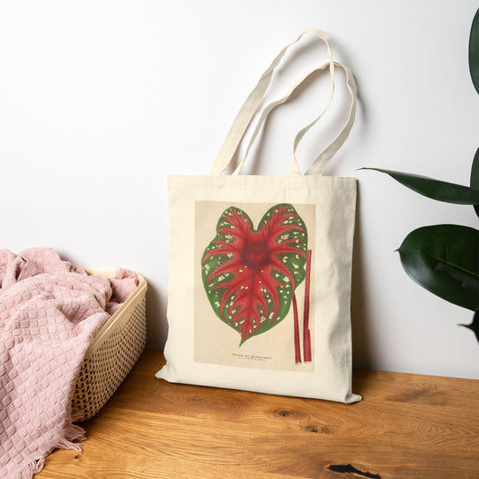 Botanical Tote Bag | Caladium Duc Adolphe de Nassau
