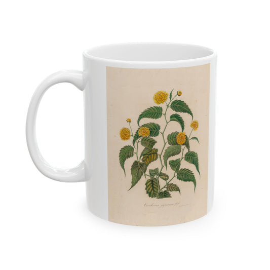 Floral Ceramic Mug | Corchorus japonica
