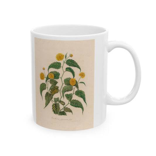 Floral Ceramic Mug | Corchorus japonica