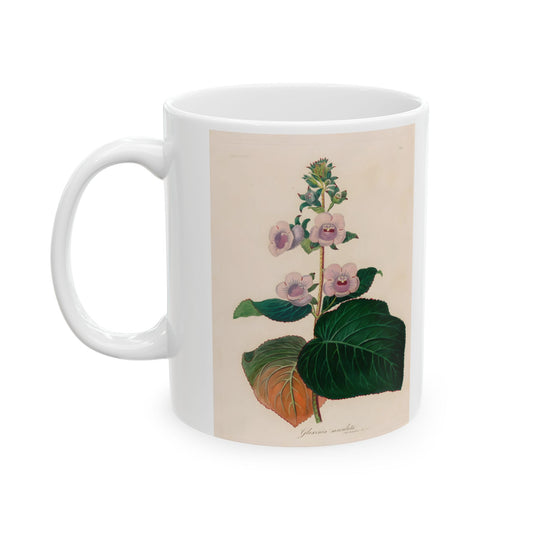 Floral Ceramic Mug | Gloxinia maculata