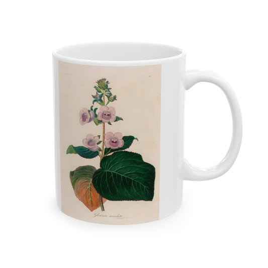 Floral Ceramic Mug | Gloxinia maculata